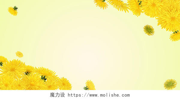 黄色渐变小清新花卉邀请函信纸展板背景